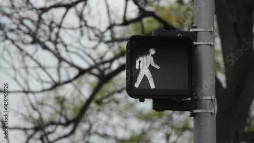 Pedestrian sign, traffic signal