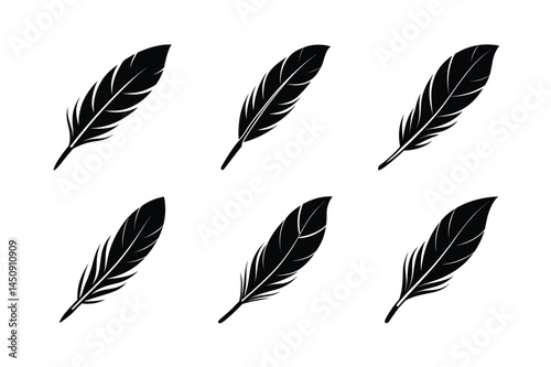 bird feather icon vector modern feather illustration