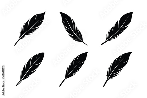 bird feather icon vector artistic feather design