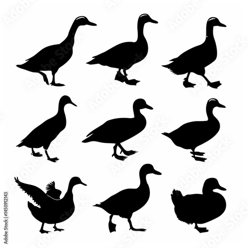 Duck silhouette bundle vector design