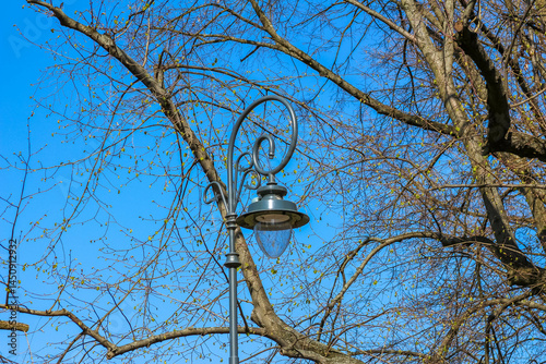 Rustic wooden birdhouse hanging from bare tree branch against vibrant blue spring sky photo