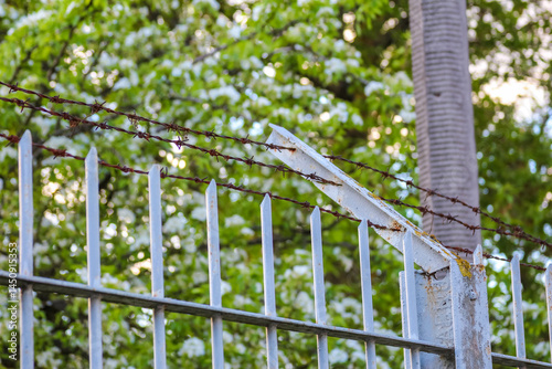 Wallpaper Mural White Metal Gate Opening to Garden with Spring Tree Blossoms Creating Welcoming Entrance Torontodigital.ca