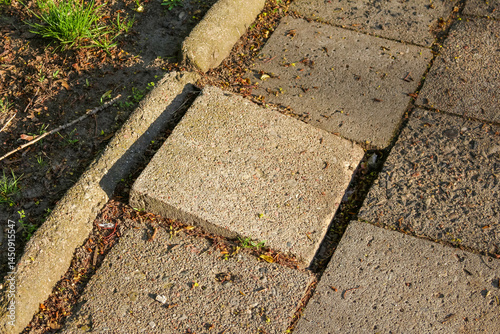 Uneven Concrete Garden Path With Exposed Soil and Natural Weathering in Outdoor Space photo