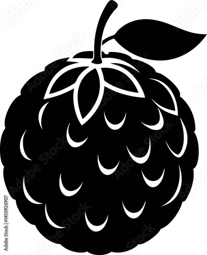 Annona fruit silhouette on transparent background