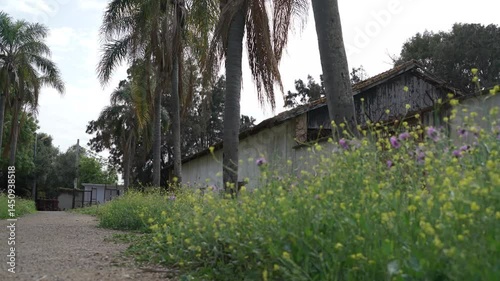 way to the farm