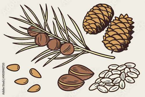 7 Pine cone, pine nuts, pine branch, tiger nuts, chufa sedge tubers, dried earth almonds, chestnuts, roasted chestnuts, autumn harvest, natural ingredients, organic snacks, forest nuts, seasonal foods