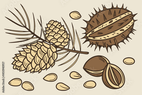 7 Pine cone, pine nuts, pine branch, tiger nuts, chufa sedge tubers, dried earth almonds, chestnuts, roasted chestnuts, autumn harvest, natural ingredients, organic snacks, forest nuts, seasonal foods
