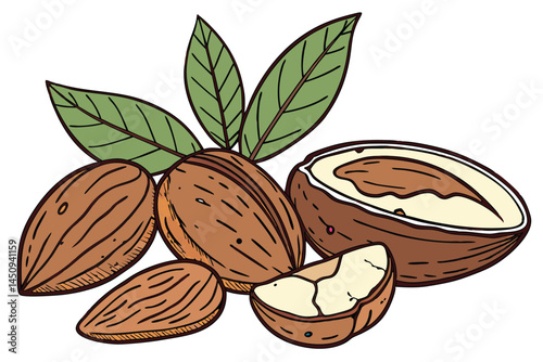 7 Pine cone, pine nuts, pine branch, tiger nuts, chufa sedge tubers, dried earth almonds, chestnuts, roasted chestnuts, autumn harvest, natural ingredients, organic snacks, forest nuts, seasonal foods