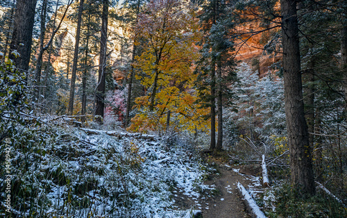 Fall Colors And Snow On The West Fork Hiking Trail In Sedona AZ