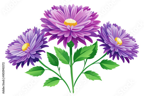 Beautiful purple aster flower illustration floral design botanical art nature garden plant bloom 90