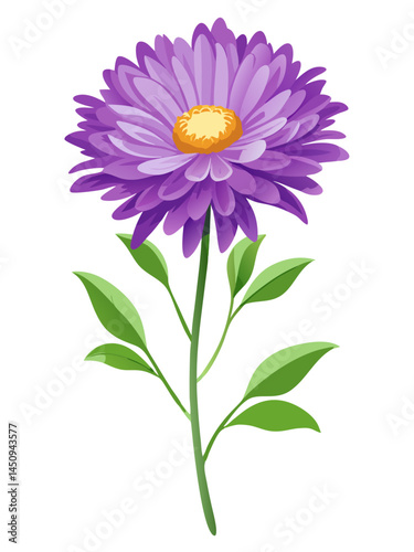 Beautiful purple aster flower vector illustration floral design botanical art nature drawing graphic bloom blossom