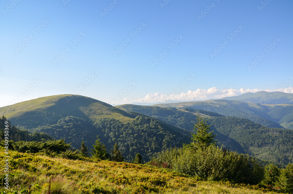 Scenic view of rolling green hills, lush vegetation, and clear blue sky. Captures the serene beauty of untouched natural landscapes, evoking sense, tranquility, and connection to nature. Carpathians Scenic view of rolling green hills, lush vegetation, and clear blue sky. Captures the serene beauty of untouched natural landscapes, evoking sense, tranquility, and connection to nature. Carpathians