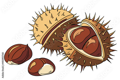 12 Photorealistic chestnuts, shiny brown nuts, autumn harvest, close-up detail, white background, food photography, warm tones, organic textures, gourmet ingredients, macro shot, high resolution, stud