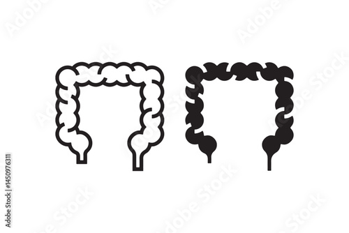 Colon anatomy icon in outline and solid style Vector