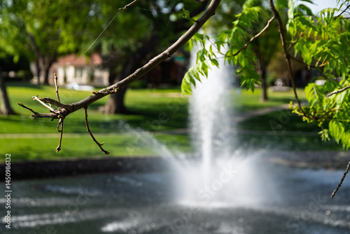 Photos Scenic View of a Water Fountain in a Suburban Park Framed by Green Tree Branches
