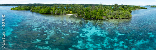Healthy corals grow along the coastline of a set of remote, tropical islands near Halmahera, Indonesia.This beautiful area is home to extraordinary marine biodiversity.
