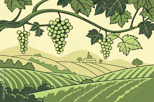 Lush grape vineyard, hanging clusters of green grapes, sunlit vine leaves, organic fruit farming, vibrant agricultural landscape, crisp detailed photography, soft natural lighting, green color pallet