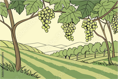 Lush grape vineyard, hanging clusters of green grapes, sunlit vine leaves, organic fruit farming, vibrant agricultural landscape, crisp detailed photography, soft natural lighting, green color pallet