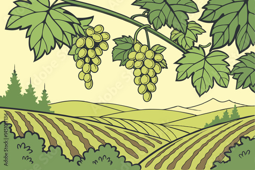 Lush grape vineyard, hanging clusters of green grapes, sunlit vine leaves, organic fruit farming, vibrant agricultural landscape, crisp detailed photography, soft natural lighting, green color pallet