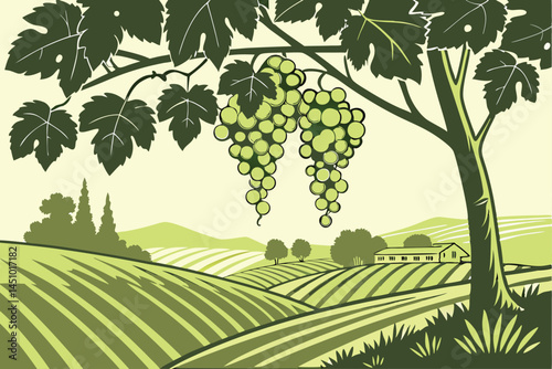 Lush grape vineyard, hanging clusters of green grapes, sunlit vine leaves, organic fruit farming, vibrant agricultural landscape, crisp detailed photography, soft natural lighting, green color pallet