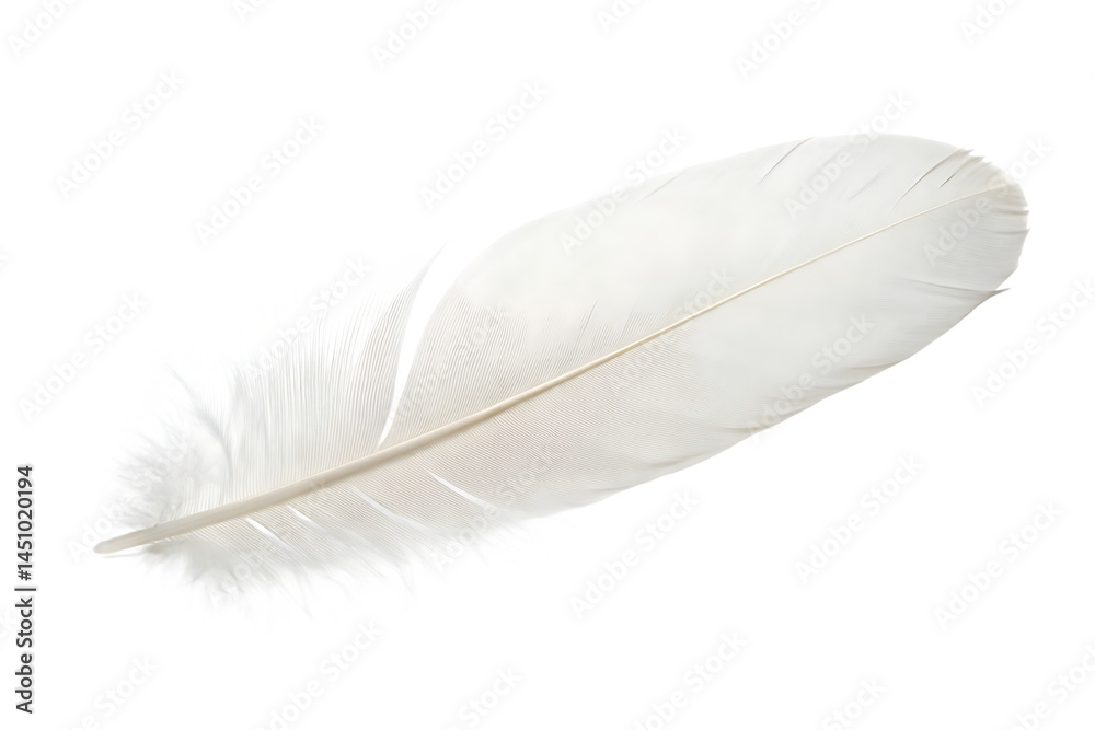 Fototapeta premium A single white feather isolated on a transparent background.PNG
