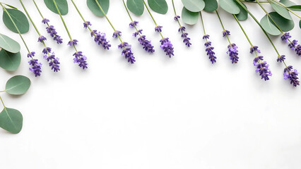 Lavender Stalks and Eucalyptus Leaves Frame, Clean Botanical Border Layout with Copy Space