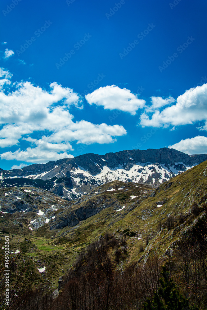 Obraz premium Where Seasons Collide