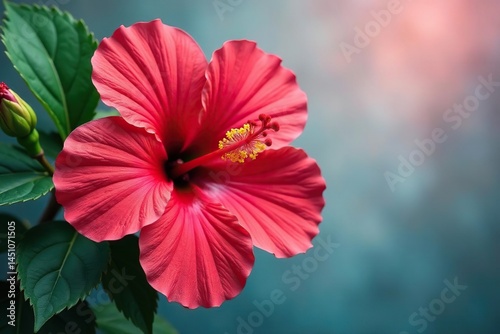 Wallpaper Mural Bold tropical hibiscus wallpaper, vibrant colors, summer, print Torontodigital.ca