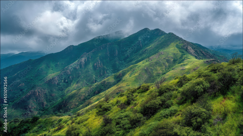 Naklejka premium A verdant mountain range stretches skyward beneath a blanket of moody clouds, its slopes adorned with vibrant greenery in a picturesque landscape view.