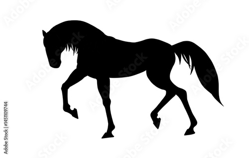 horse silhouette on white background, horse in different poses, hand drawn, black silhouette, horse walking