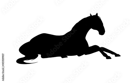 horse silhouette on white background, horse in different poses, hand drawn, black silhouette, horse lying down
