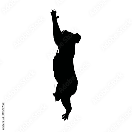 Solid black silhouette of a koala clinging, vector EPS