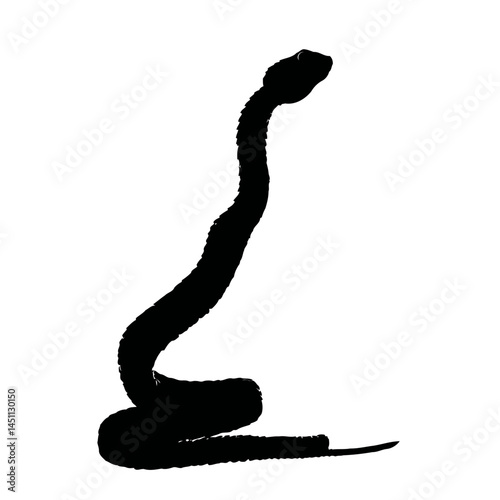Solid black silhouette of a snake coiled, vector EPS