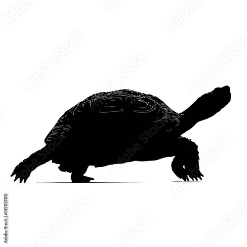 Solid black silhouette of a turtle crawling, vector EPS
