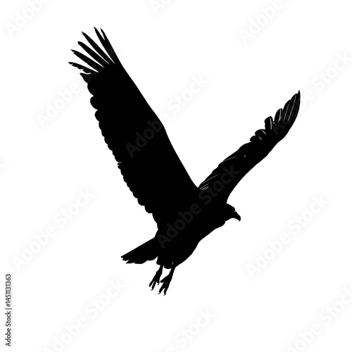 Solid black silhouette of a vulture circling, vector EPS