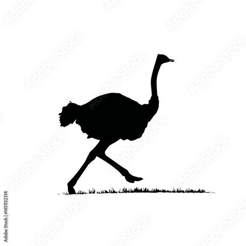 Solid black silhouette of an ostrich running, vector EPS