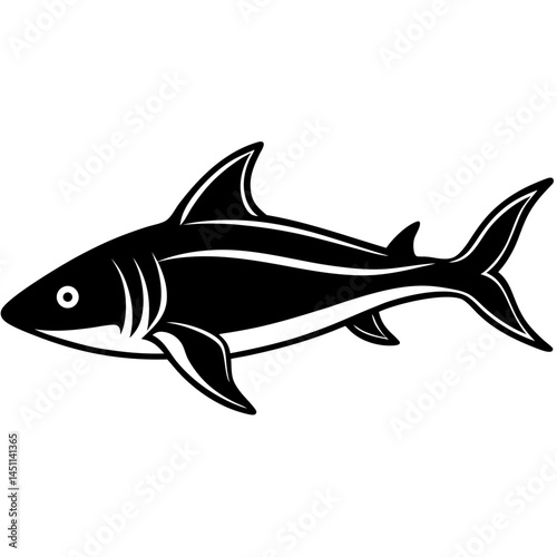 Spiny Dogfish Vector on White