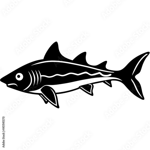 Spiny Dogfish Vector on White