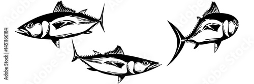 vector illustration of fish for a world tuna day