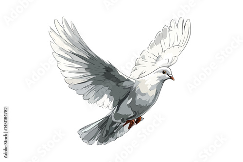 flying dove flight background isolated