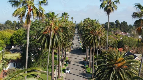 Aerial view of beautiful palm trees in Santa Monica Los Angeles California 21