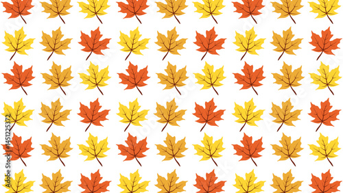 Maple leaf texture pattern background.