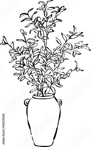 Planta de olivo en maceta. Planta de interior. Planta natural decorativa. Ilustración vectorial de planta de olivo para invitaciones, papelería, branding