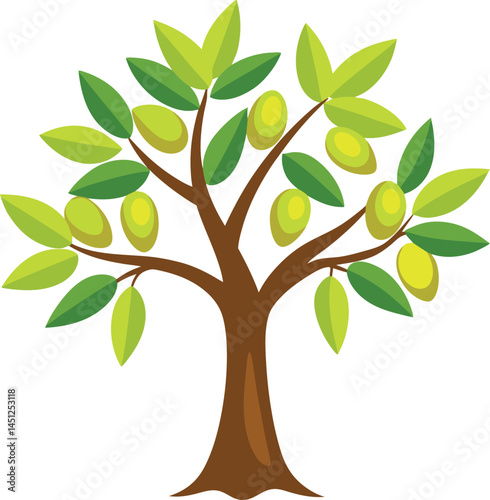 Olive Tree Color 