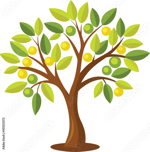 Olive Tree