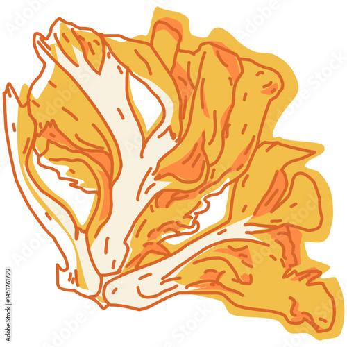 Maitake Mushrooms