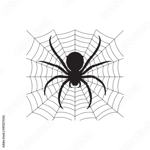Black Silhouette Spider with Intricate Web on White Background

