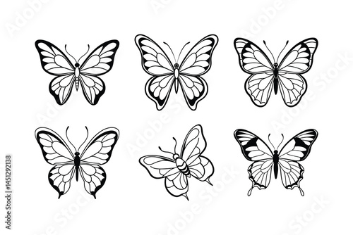 Wallpaper Mural Butterfly Illustration with Open Wings Torontodigital.ca