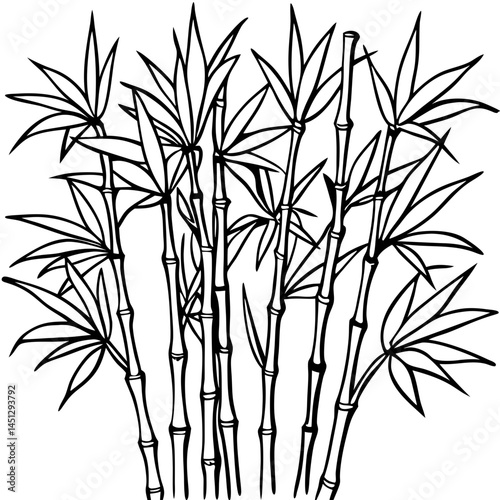 Bamboo Forest Silhouette: An elegant black and white drawing presents a serene bamboo forest, evoking a sense of calm and the beauty of nature.