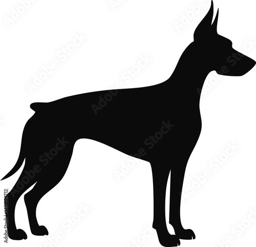 Doberman Dog silhouette illustration